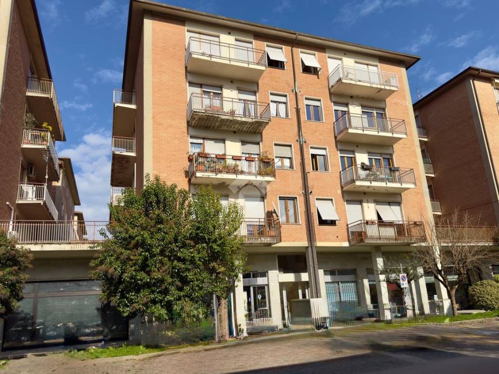 immagine annuncio 12 di 13