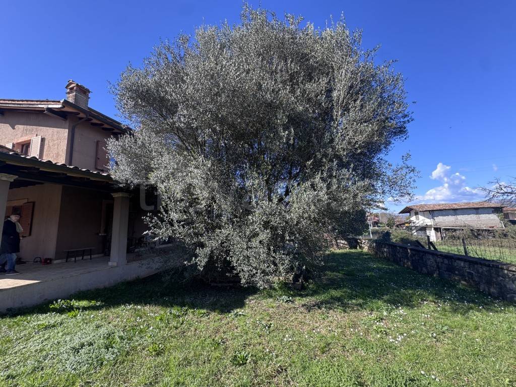 immagine annuncio 5 di 13