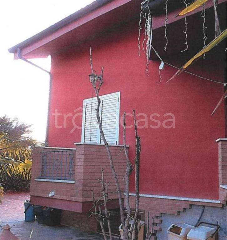 immagine annuncio 4 di 14