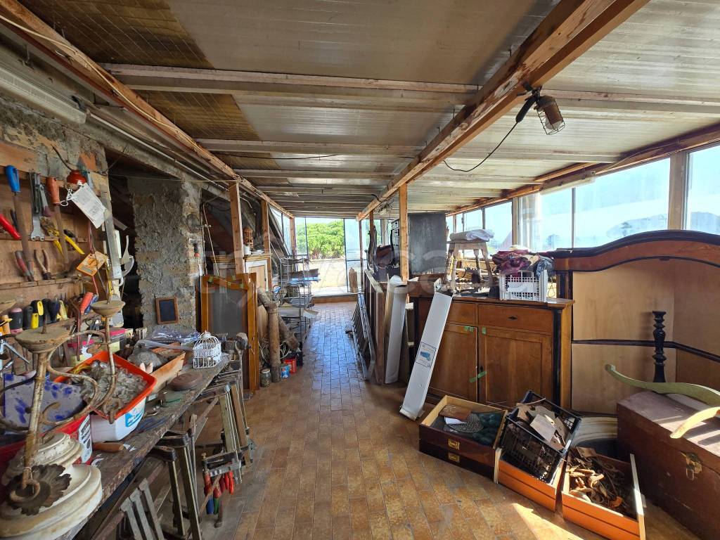 immagine annuncio 2 di 14