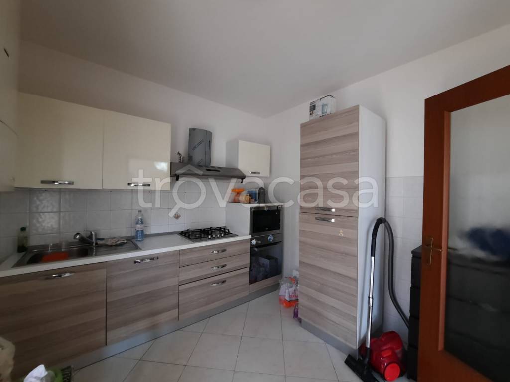 immagine annuncio 3 di 14