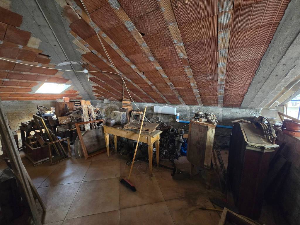 immagine annuncio 5 di 14