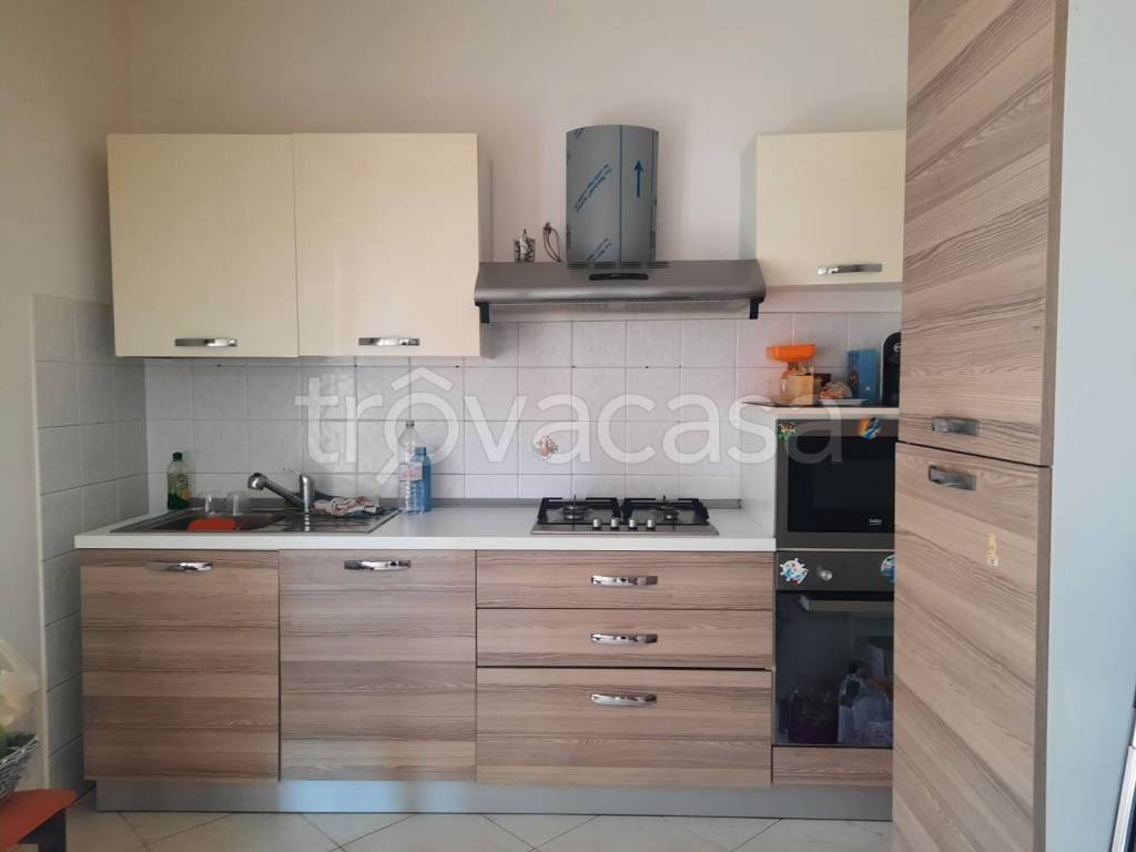 immagine annuncio 4 di 14