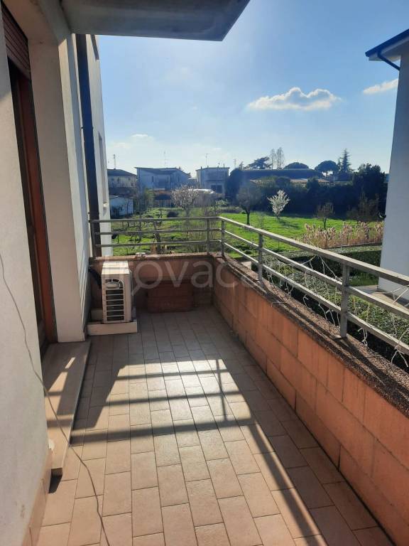 immagine annuncio 10 di 14