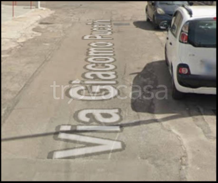 immagine annuncio 5 di 12