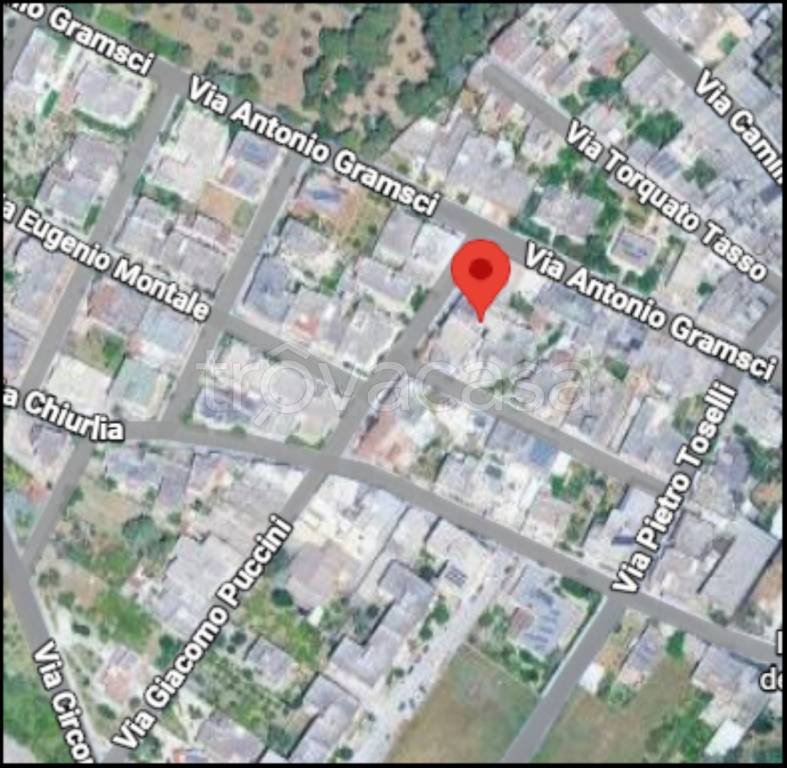 immagine annuncio 11 di 12