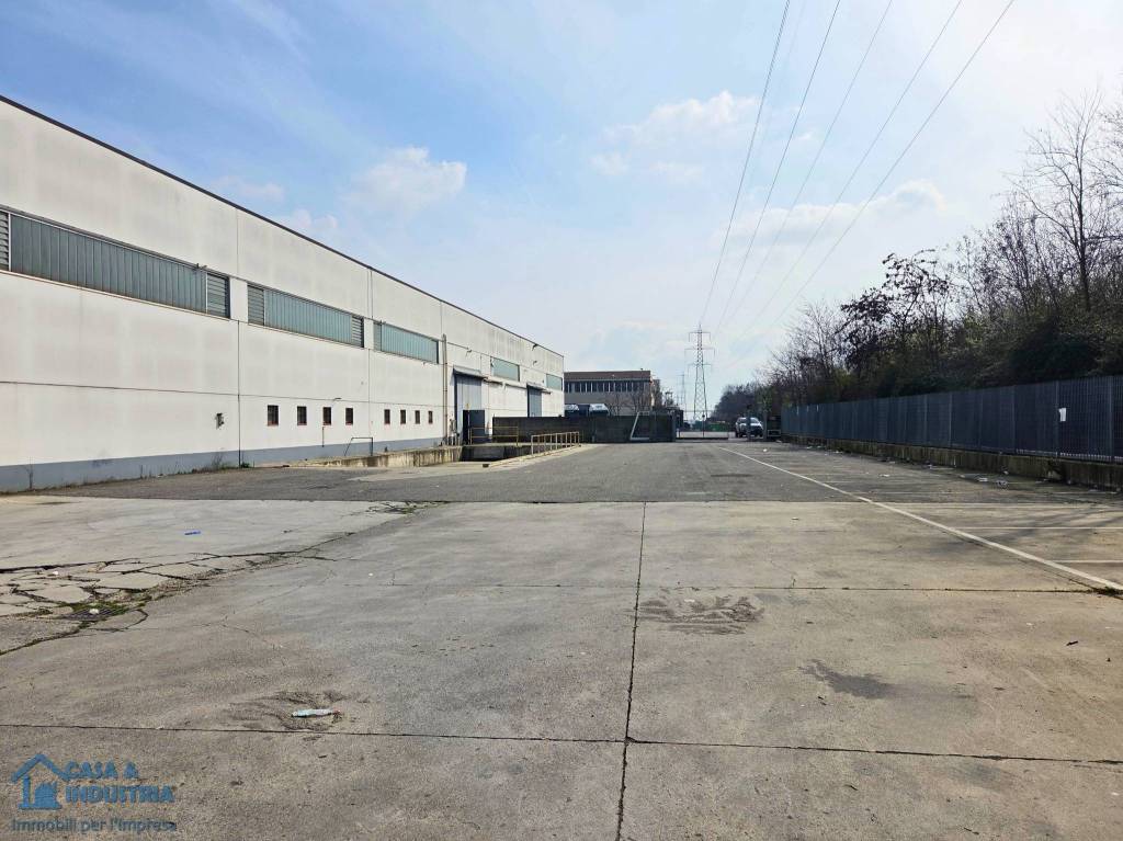 immagine annuncio 3 di 15