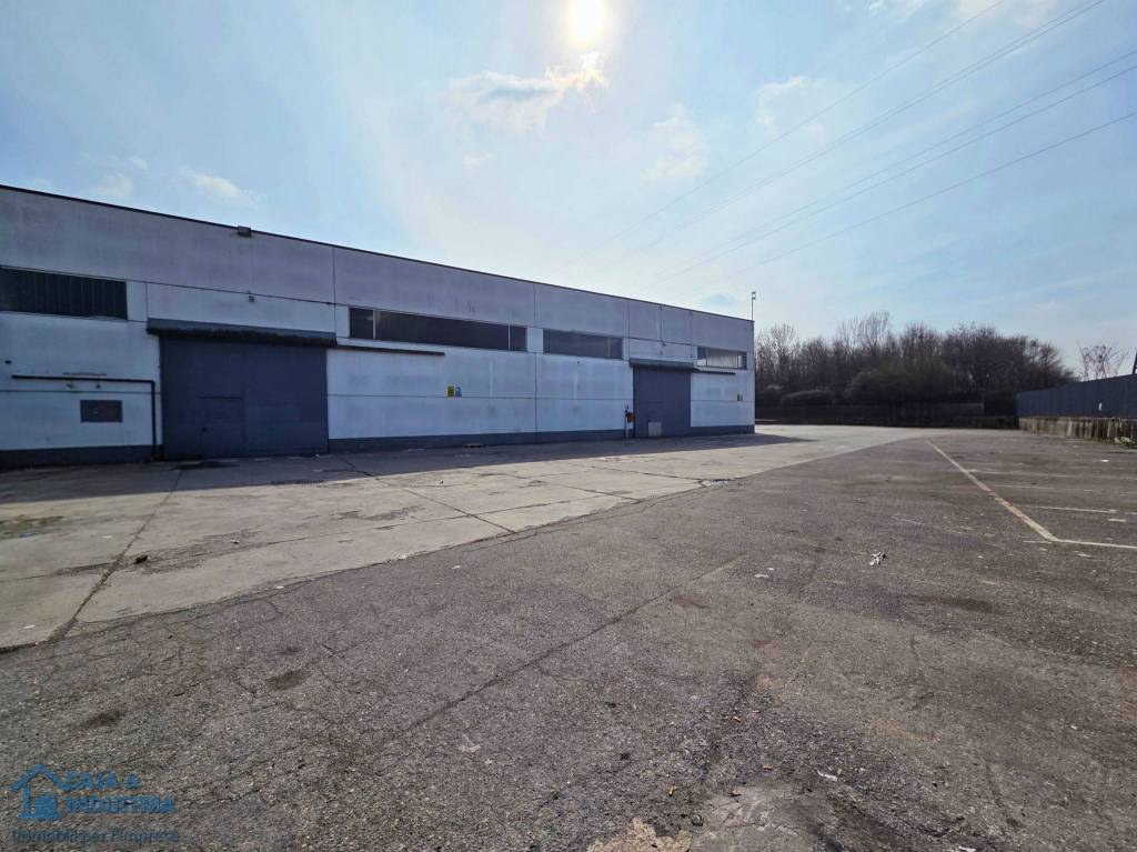 immagine annuncio 5 di 15