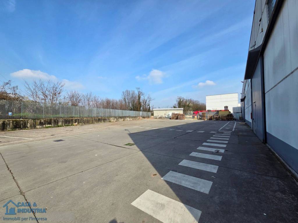 immagine annuncio 7 di 15