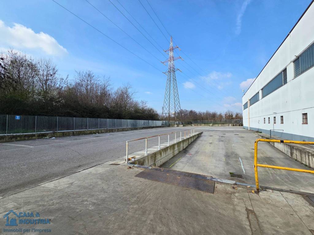 immagine annuncio 9 di 15