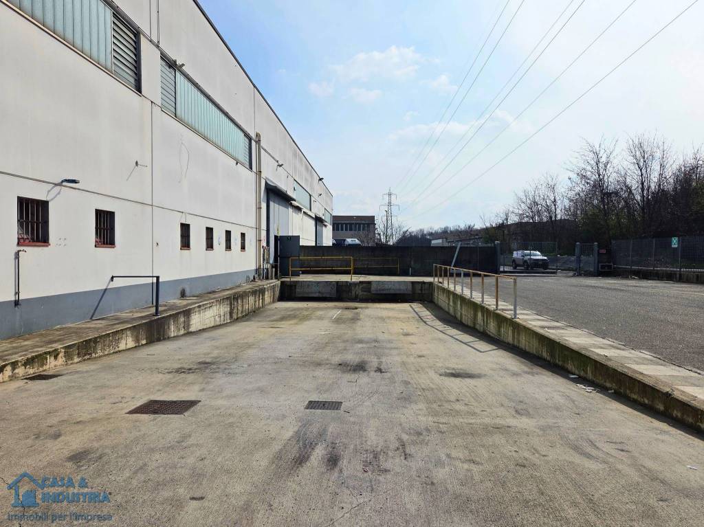 immagine annuncio 2 di 15