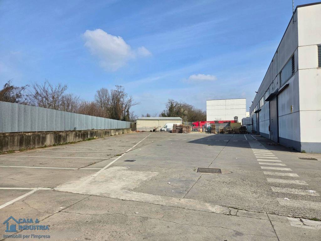 immagine annuncio 4 di 15