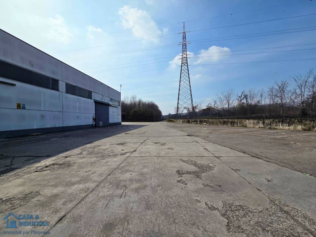 immagine annuncio 6 di 15