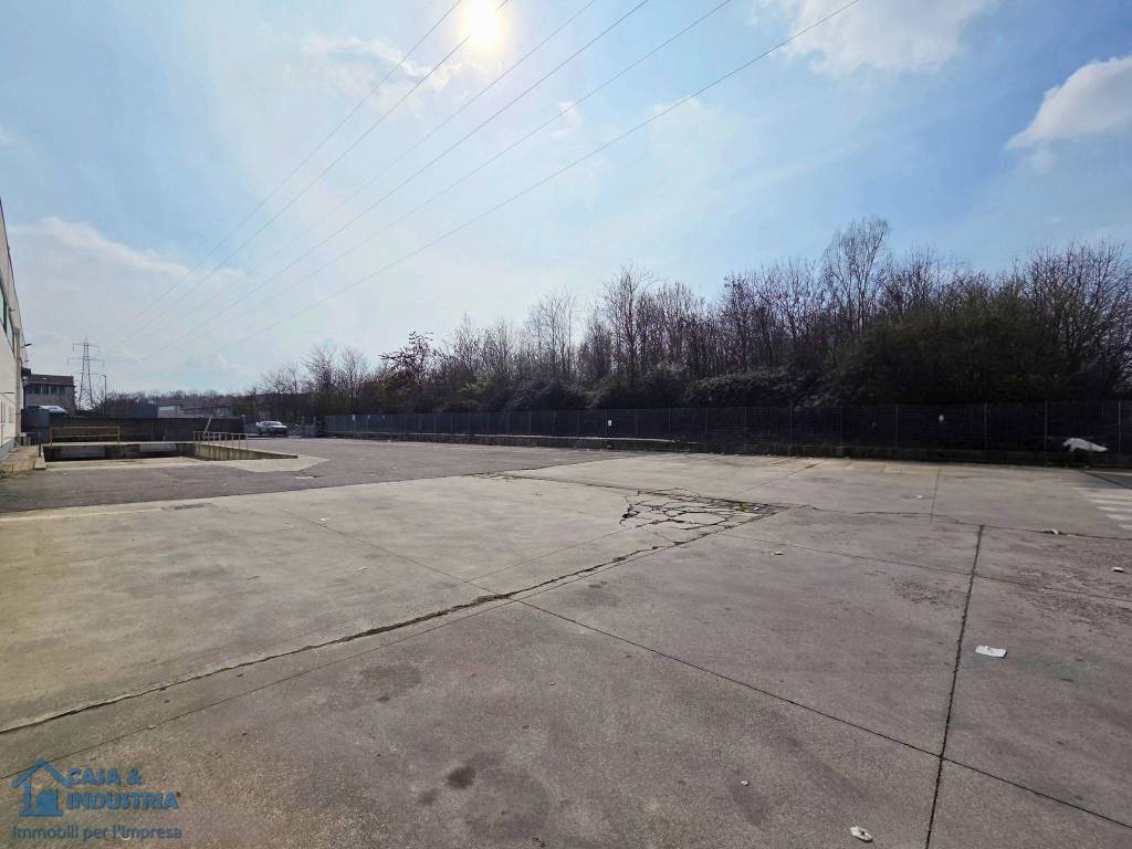 immagine annuncio 8 di 15