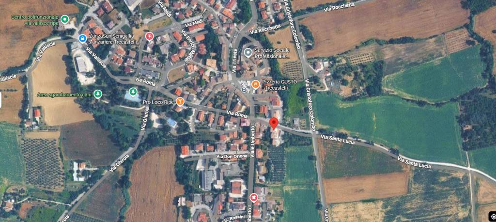 immagine annuncio 1 di 12