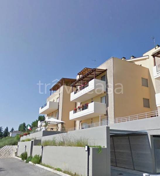 immagine annuncio 3 di 12