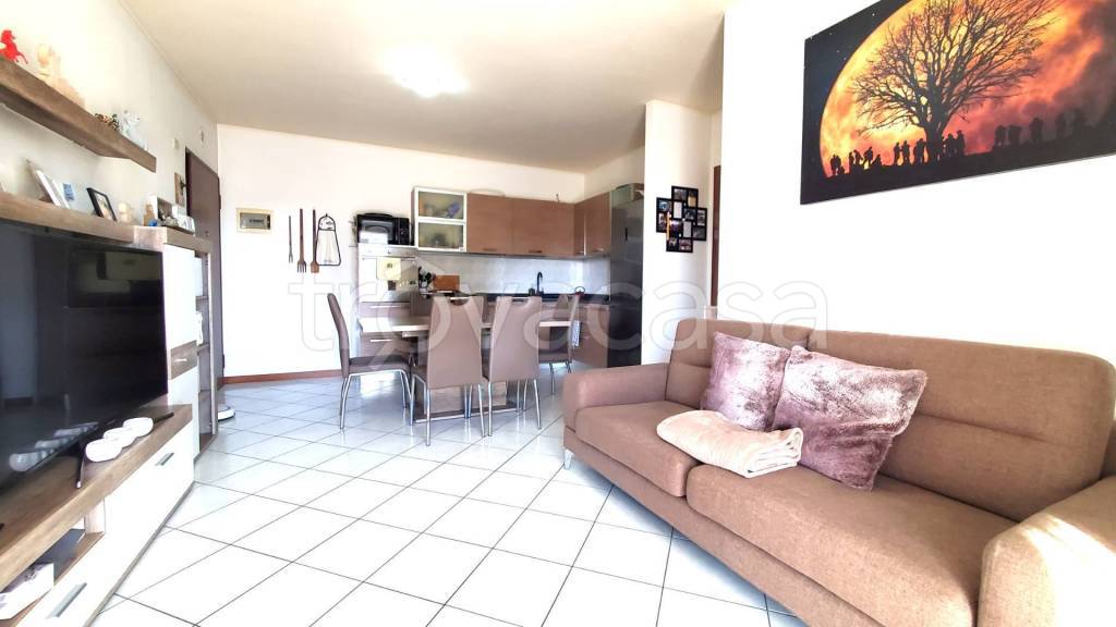 immagine annuncio 3 di 14