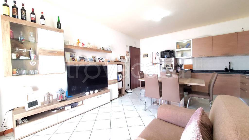 immagine annuncio 5 di 14