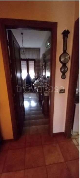 immagine annuncio 5 di 12