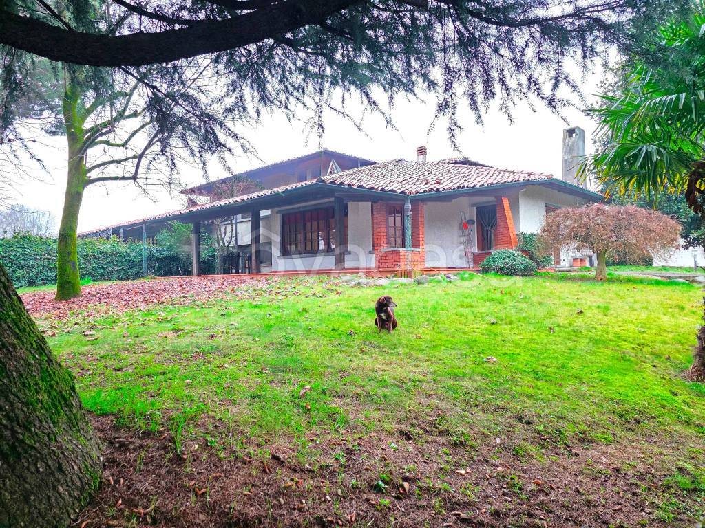 immagine annuncio 2 di 15