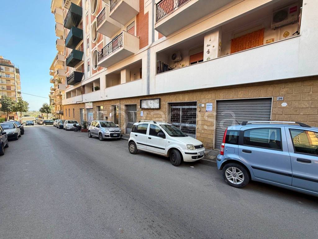 immagine annuncio 3 di 13