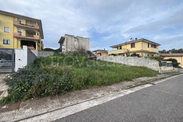 immagine annuncio 4 di 12