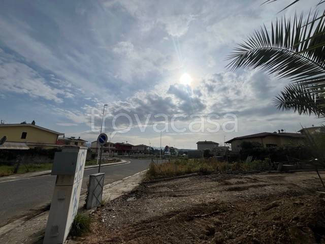 immagine annuncio 10 di 12