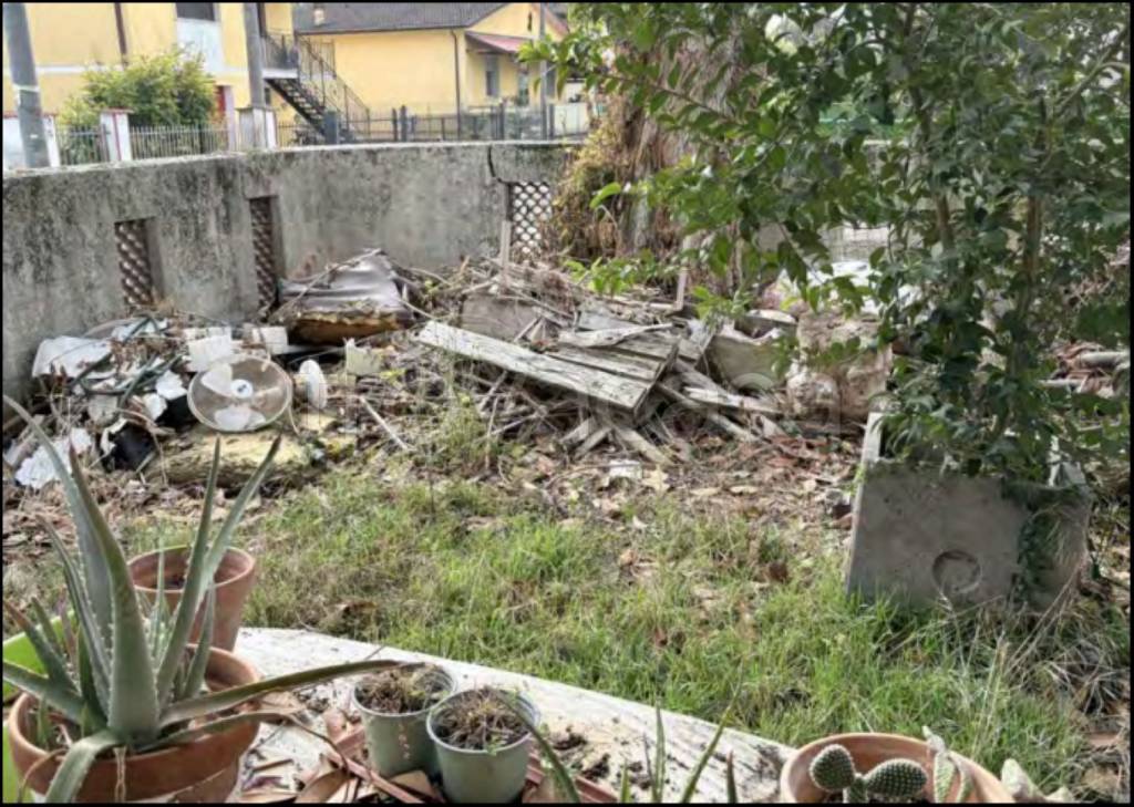 immagine annuncio 2 di 12