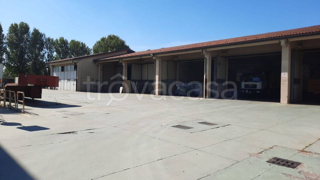 immagine annuncio 2 di 9