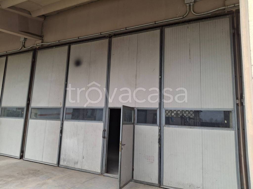 immagine annuncio 3 di 9