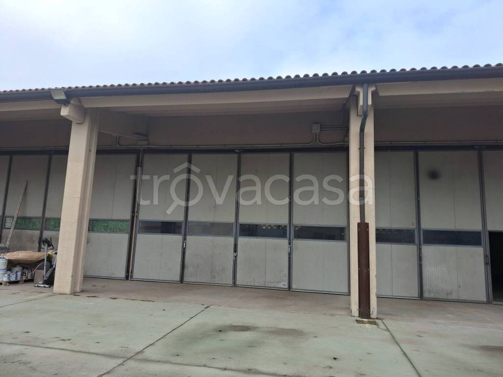 immagine annuncio 4 di 9