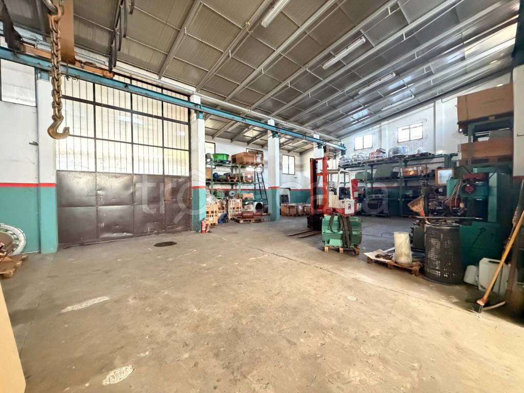 immagine annuncio 2 di 15