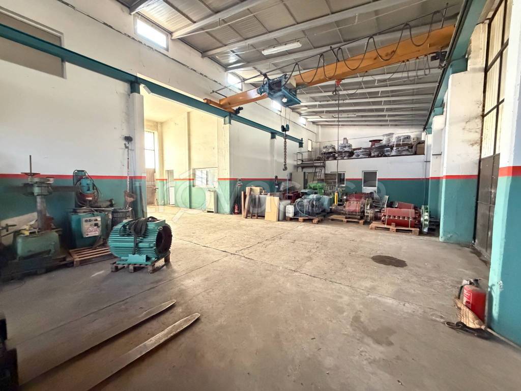 immagine annuncio 3 di 15