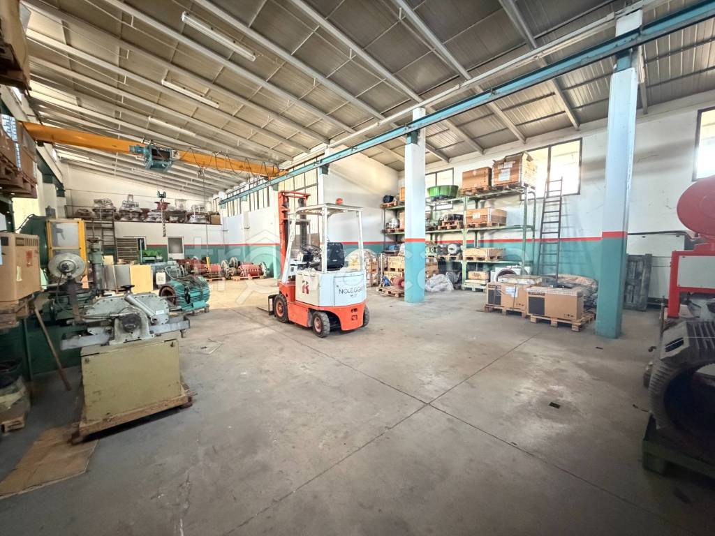 immagine annuncio 4 di 15