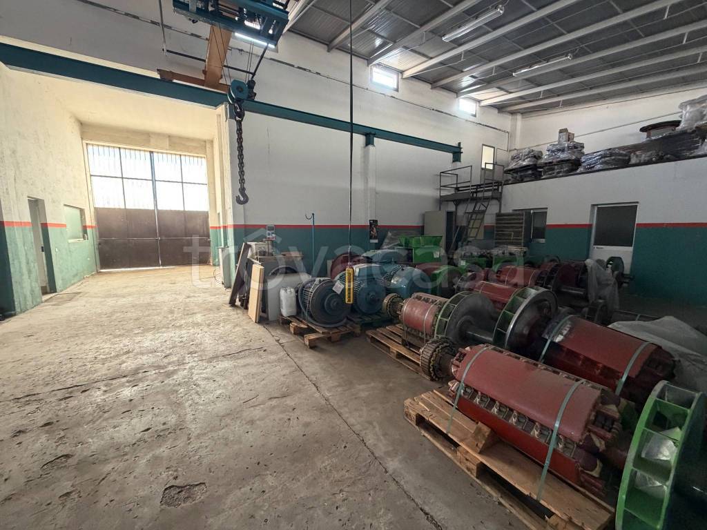 immagine annuncio 5 di 15