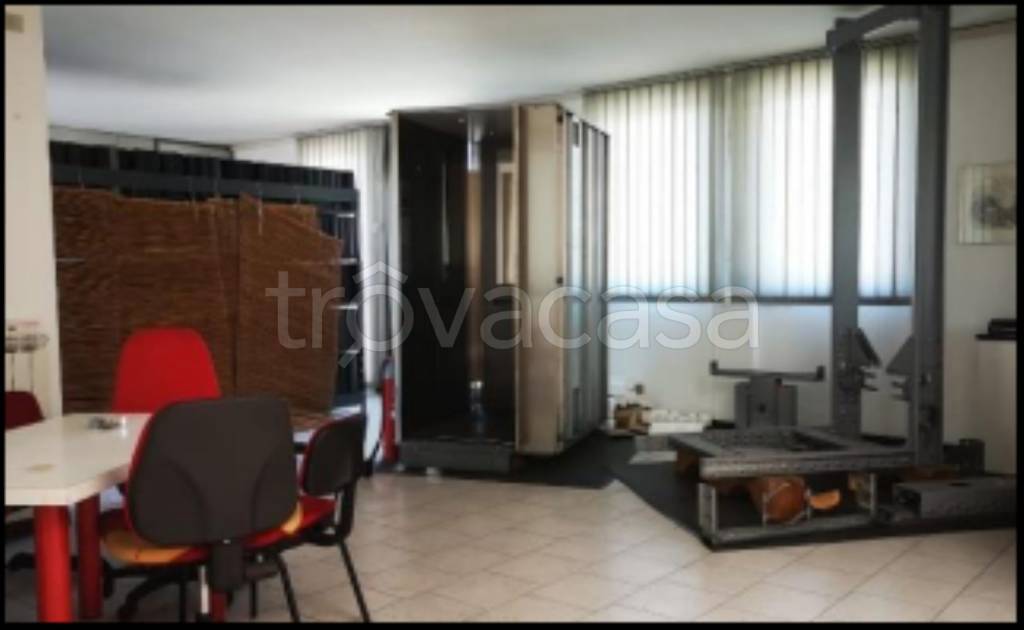 immagine annuncio 4 di 12