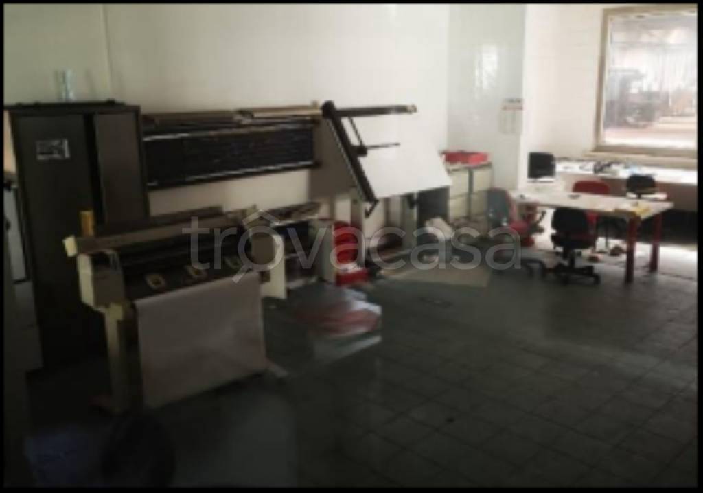 immagine annuncio 5 di 12