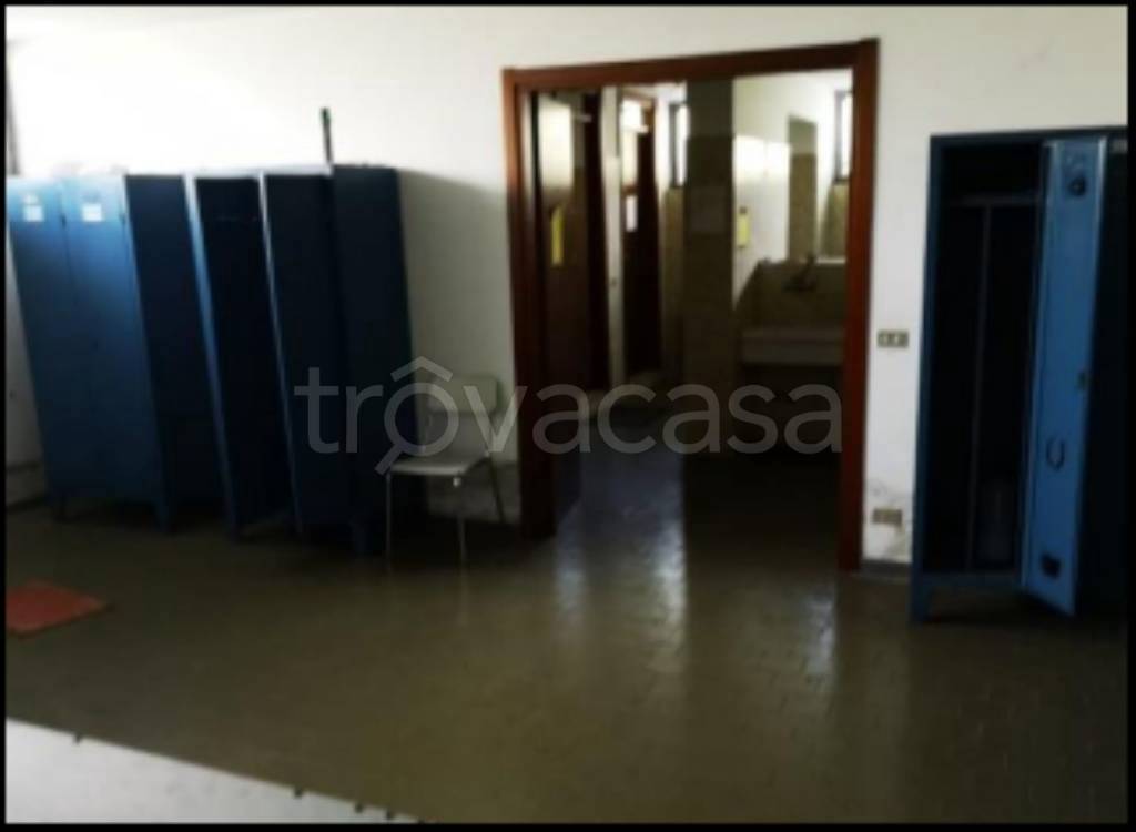 immagine annuncio 9 di 12