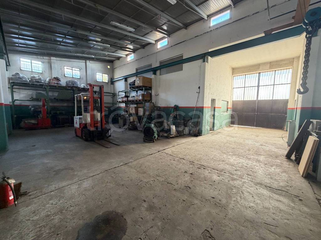 immagine annuncio 7 di 15