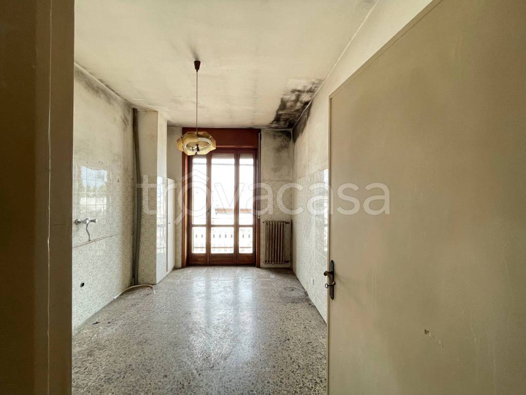 immagine annuncio 4 di 14