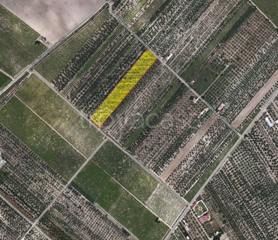 immagine annuncio 2 di 3