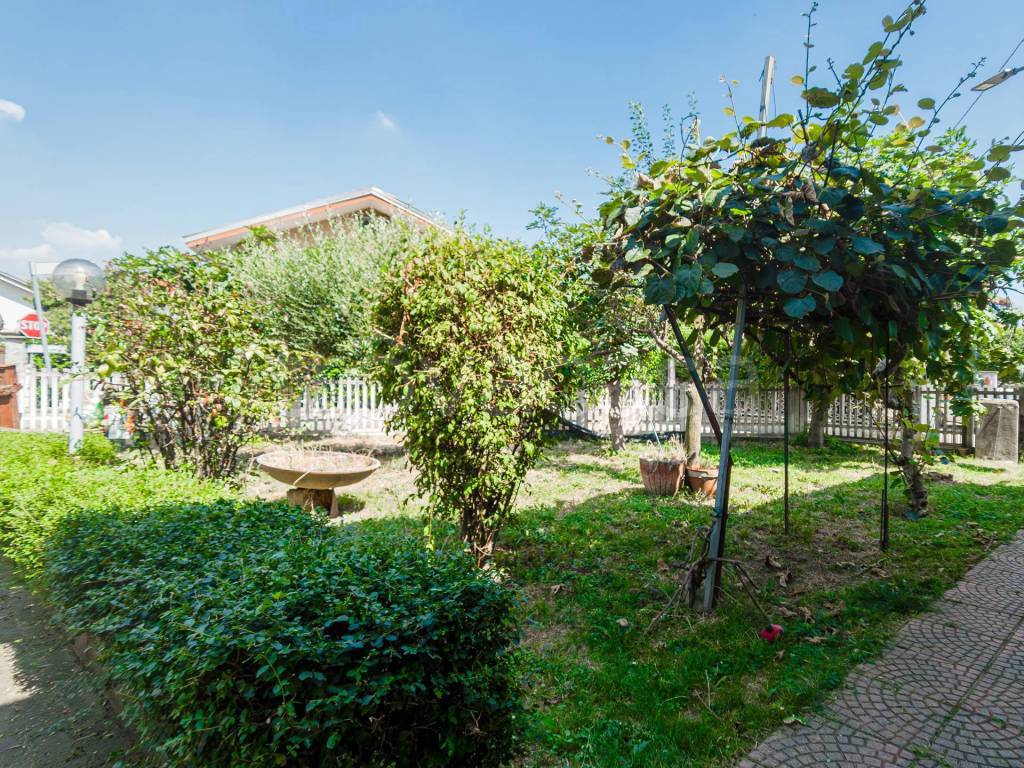 immagine annuncio 3 di 15