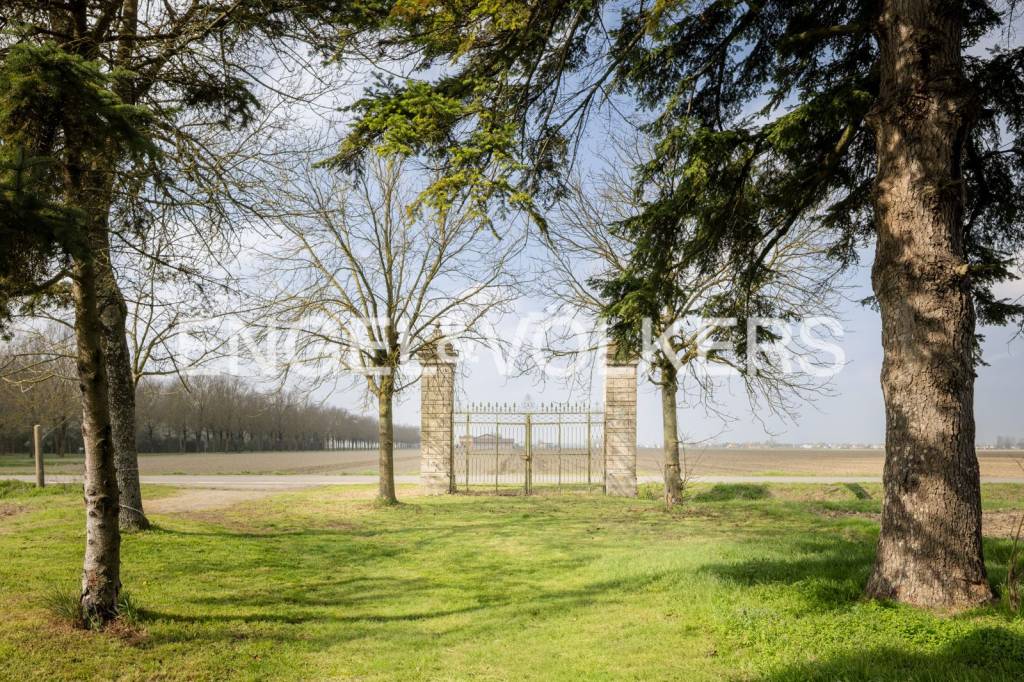 immagine annuncio 4 di 11