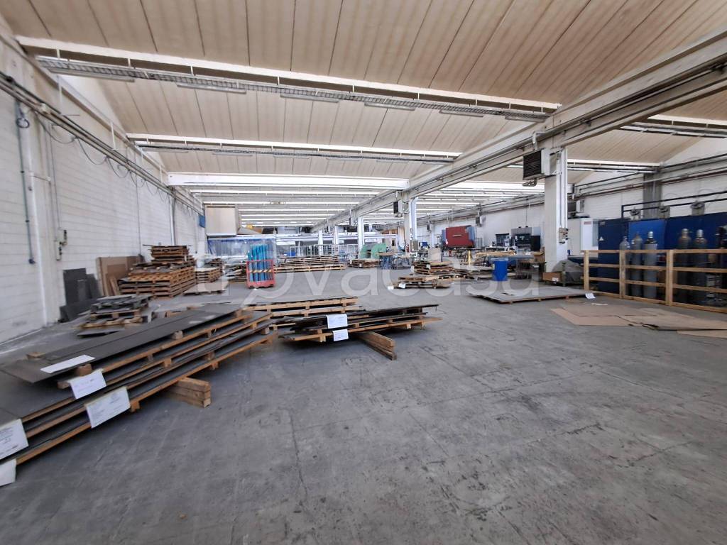 immagine annuncio 9 di 15