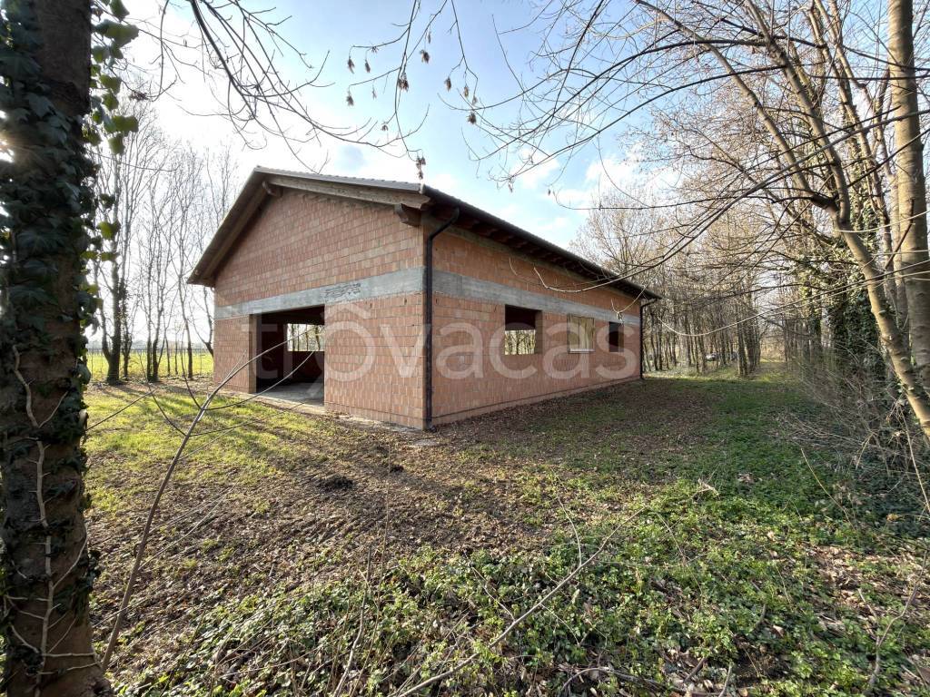 immagine annuncio 3 di 13