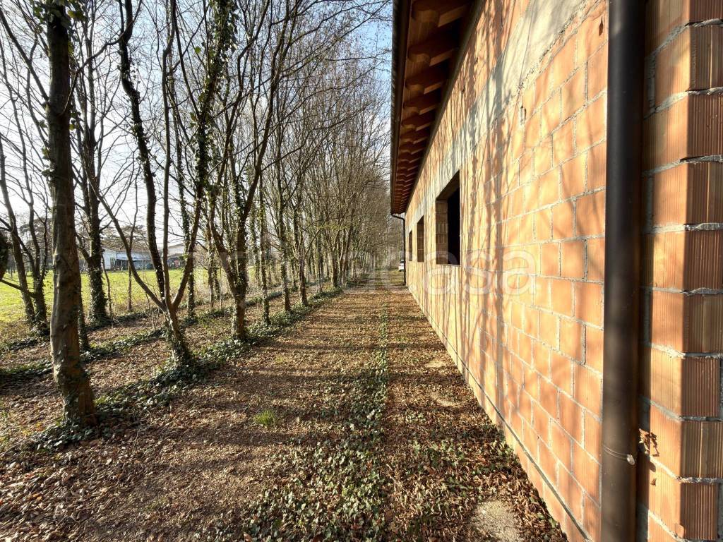 immagine annuncio 4 di 13