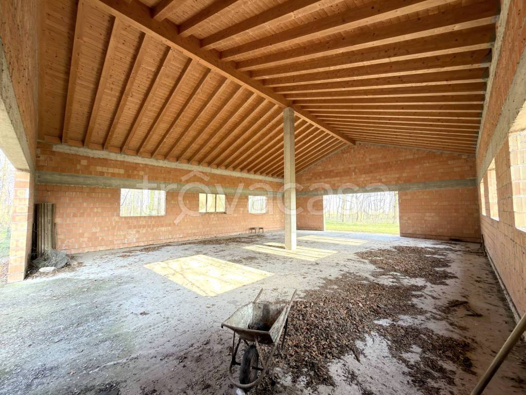 immagine annuncio 10 di 13