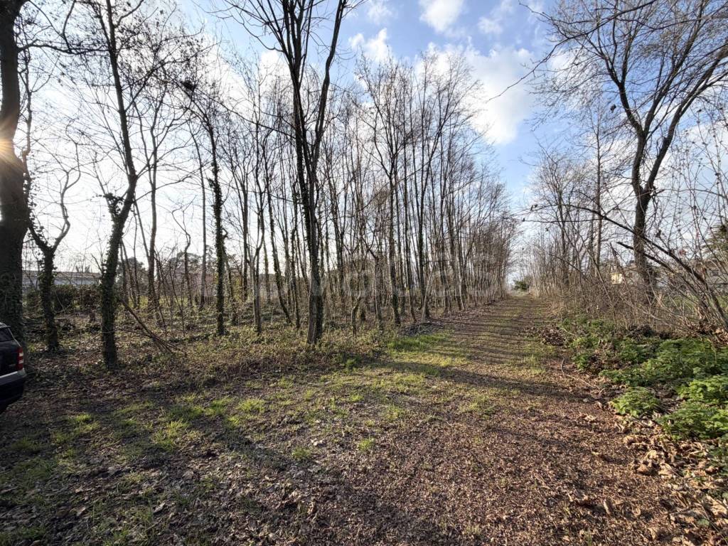 immagine annuncio 12 di 13