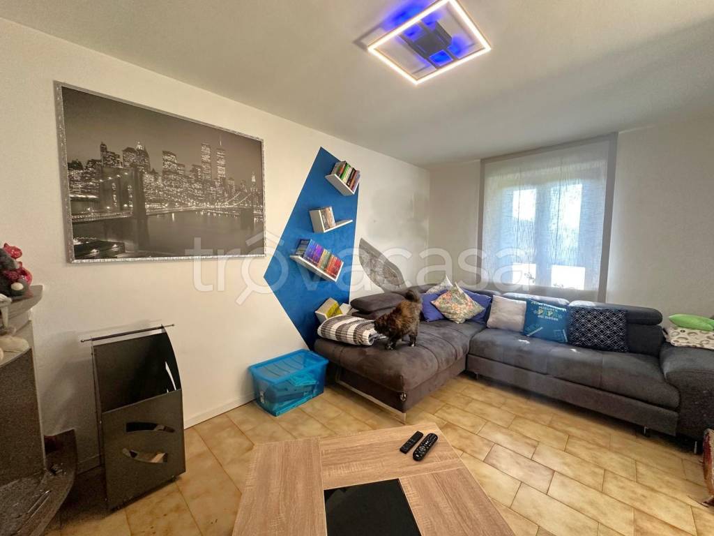 immagine annuncio 8 di 15