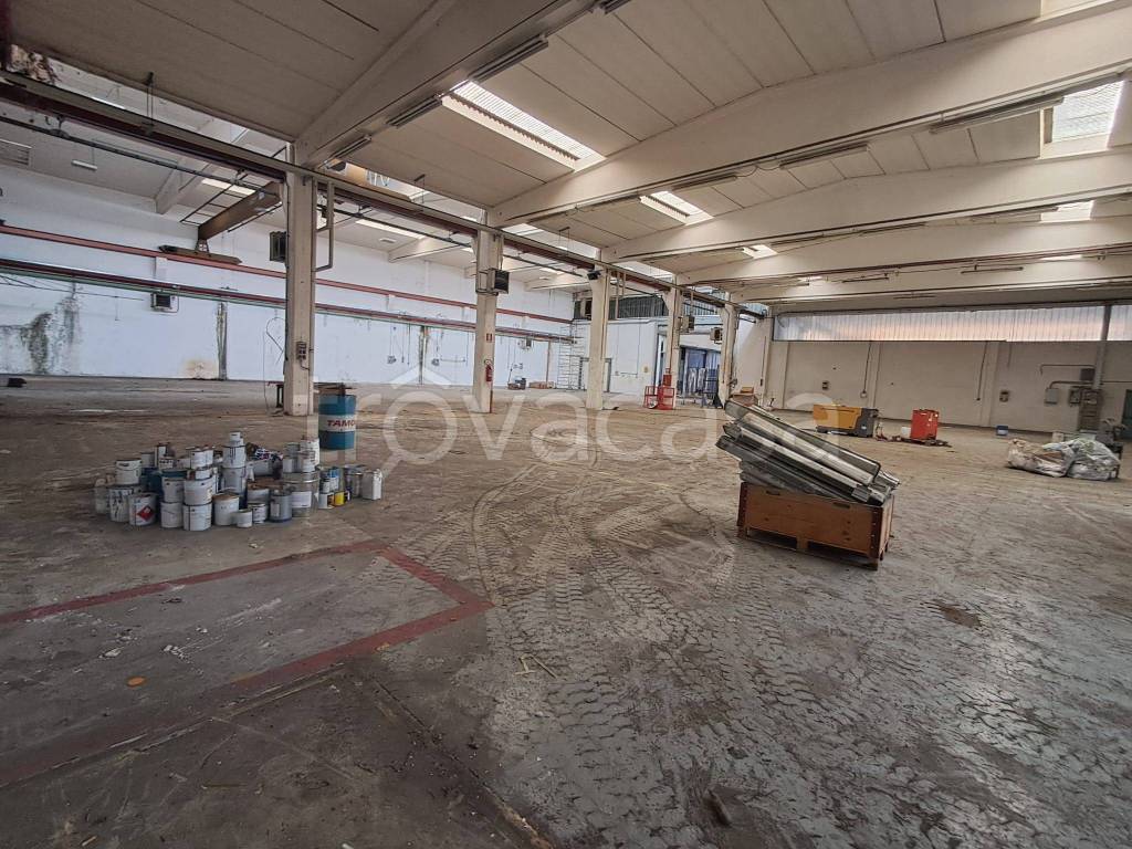 immagine annuncio 5 di 15